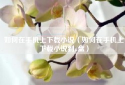 如何在手机上下载小说（如何在手机上下载小说到u盘）