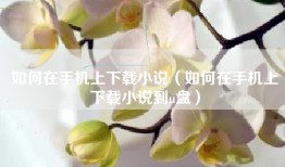 如何在手机上下载小说（如何在手机上下载小说到u盘）