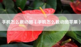 手机怎么截动图（手机怎么截动图苹果）