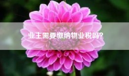 业主需要缴纳物业税吗？