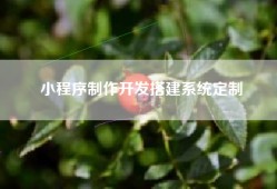 小程序制作开发搭建系统定制