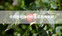 小程序制作开发搭建系统定制