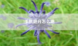手机跑分怎么跑