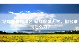 站群收录没排名 站群收录无果，排名难现怎么办？