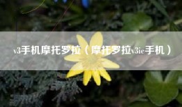v3手机摩托罗拉（摩托罗拉v3ie手机）