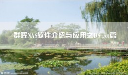 群晖NAS软件介绍与应用之DS get篇