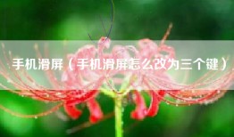 手机滑屏（手机滑屏怎么改为三个键）