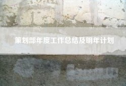 策划部年度工作总结及明年计划