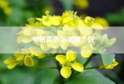 考研英语培训哪个好