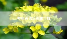 考研英语培训哪个好