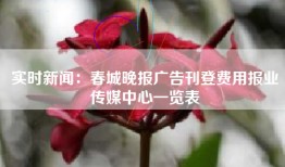 实时新闻：春城晚报广告刊登费用报业传媒中心一览表