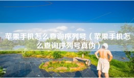 苹果手机怎么查询序列号（苹果手机怎么查询序列号真伪）
