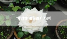 年搜索引擎推广方案