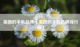 英国的手机品牌（英国的手机品牌排行榜）