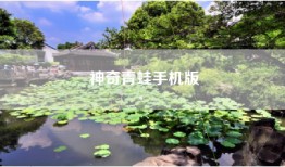 神奇青蛙手机版