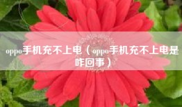 oppo手机充不上电（oppo手机充不上电是咋回事）