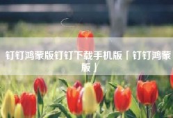 钉钉鸿蒙版钉钉下载手机版「钉钉鸿蒙版」