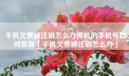 手机欠费被注销怎么办停机的手机号如何恢复「手机欠费被注销怎么办」