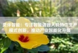 灵伴智能：专注智能语音人机协作生产模式创新，推动产业智能化升级