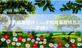 vivo手机屏幕旋转（vivo手机屏幕旋转怎么关闭）