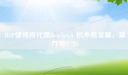 HSP律师所代理Bearbrick 积木熊发案，案件号：24
