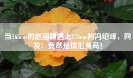 当165cm的赵丽颖遇上178cm的冯绍峰，网友：竟然是情侣身高！