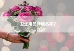 卫生用品网店名字？