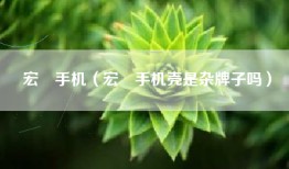 宏碁手机（宏碁手机壳是杂牌子吗）
