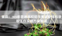 重庆：2021年普通高校招生考试安排和录取工作实施方案解读