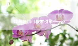 详解最热门搜索引擎——ES