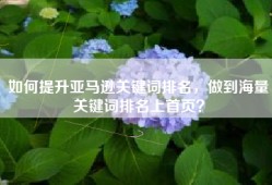 如何提升亚马逊关键词排名，做到海量关键词排名上首页？