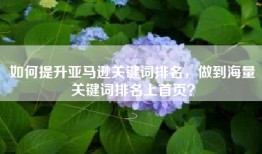 如何提升亚马逊关键词排名，做到海量关键词排名上首页？