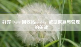 群晖 Drive 回收站recyle，数据恢复与管理的关键