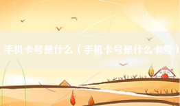 手机卡号是什么（手机卡号是什么卡号）
