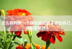 怎么样判断一个项目到底适不适合自己，该不该坚持？
