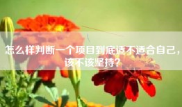 怎么样判断一个项目到底适不适合自己，该不该坚持？