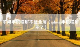 苹果手机横屏不能全屏（iphone手机横屏不了）