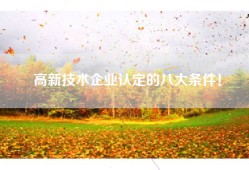 高新技术企业认定的八大条件！