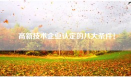 高新技术企业认定的八大条件！