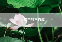 iOS 常用的三方库