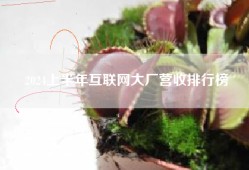 2024上半年互联网大厂营收排行榜