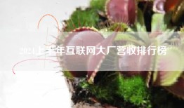 2024上半年互联网大厂营收排行榜