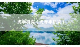 虎手机壳（虎年手机壳）