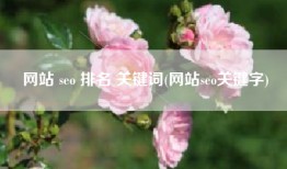 网站 seo 排名 关键词(网站seo关键字)