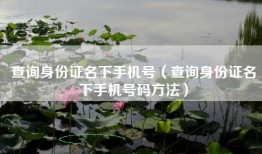 查询身份证名下手机号（查询身份证名下手机号码方法）