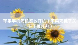 苹果手机死机怎么开机（苹果死机了关不了机咋办）