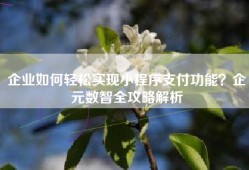企业如何轻松实现小程序支付功能？企元数智全攻略解析