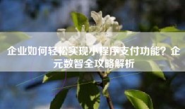 企业如何轻松实现小程序支付功能？企元数智全攻略解析
