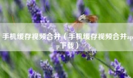 手机缓存视频合并（手机缓存视频合并app下载）