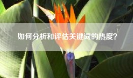 如何分析和评估关键词的热度？